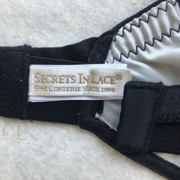 Secrets in Lace Bullet Bra - Picture 4 of 4